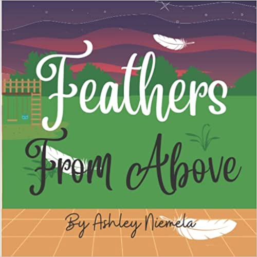  Feathers From Above - By Ashley Niemela