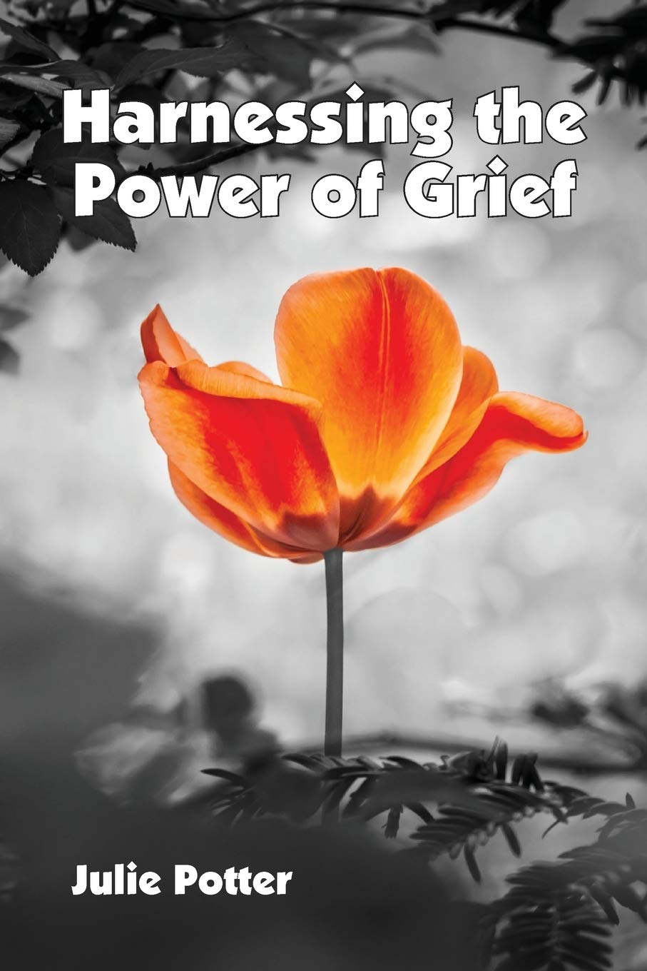 Harnessing the Power of Grief - By Julie Potter