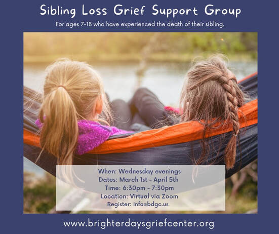 Sibling Loss Grief Support Group Wednesdays, March 1st - April 15th, 2023, via Zoom from 6:30 - 7:30 PM CST